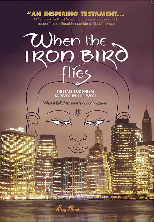 When the Iron Bird Flies DVD Poster Image