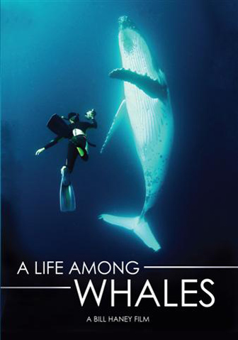 A Life Among Whales cover