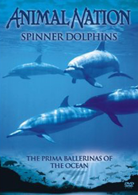 Spinner Dolphins DVD cover