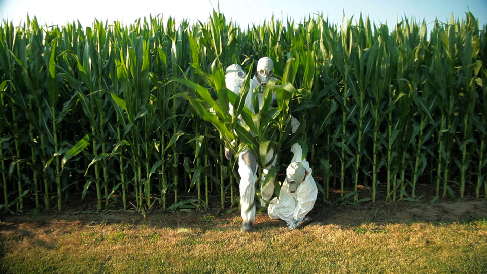 GMO-OMG-Corn-Field