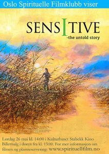 Sensitive-Untold-Story-plakat